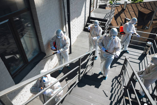 Best Mold Removal for HVAC Installations  in Picacho Hills, NM